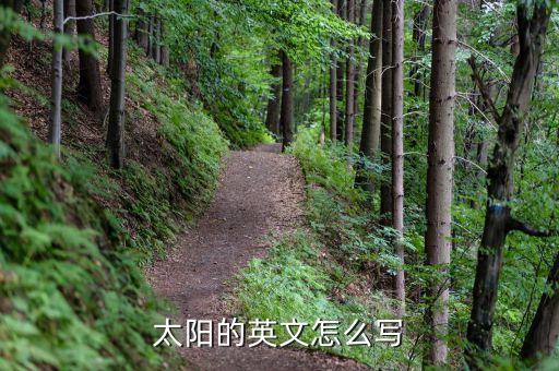 太阳的英文怎么写
