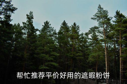 帮忙推荐平价好用的遮暇粉饼