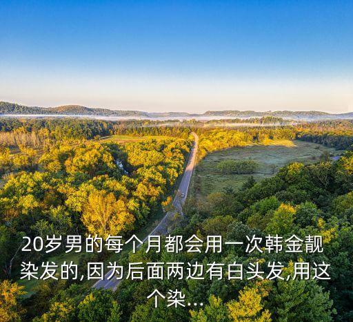20岁男的每个月都会用一次韩金靓 染发的,因为后面两边有白头发,用这个染...