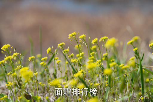 日本资生堂面霜哪个好用,资生堂水封霜还是方可霜？