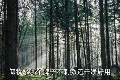 卸妆水哪个牌子不刺激还干净好用