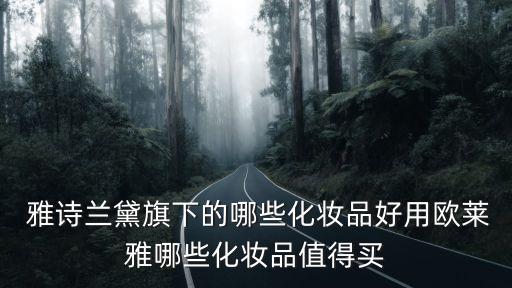  雅诗兰黛旗下的哪些化妆品好用欧莱雅哪些化妆品值得买