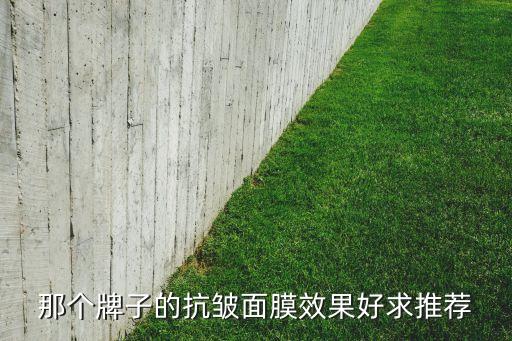 那个牌子的抗皱面膜效果好求推荐