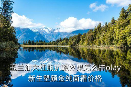 塑颜修复霜哪个品牌好,什么牌子的面霜好？
