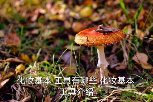  化妆基本 工具有哪些 化妆基本 工具介绍