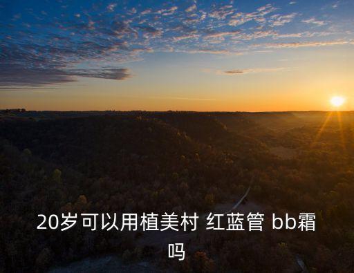 红蓝管bb霜是什么牌子,红bb霜作用是什么