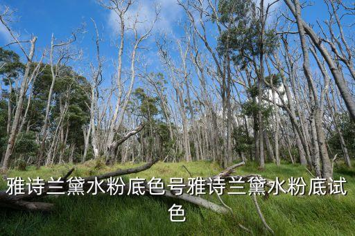 雅诗兰黛水粉底色号雅诗兰黛水粉底试色