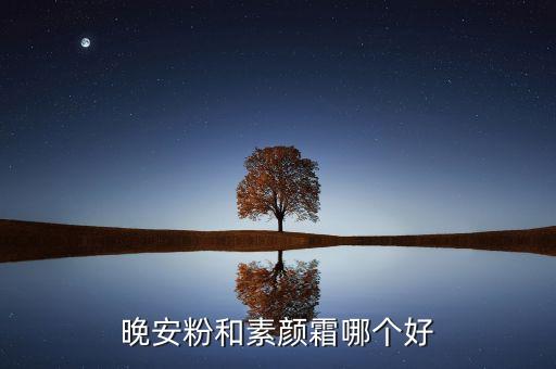 晚安粉和素颜霜哪个好