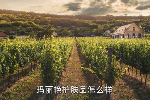 玛丽艳护肤品怎么样