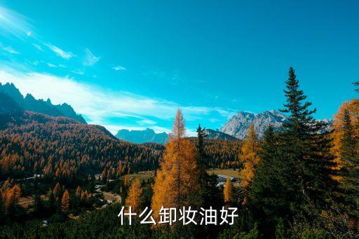 什么卸妆油好