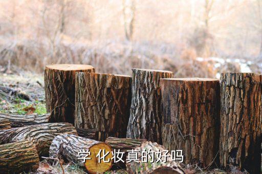 化妆这门技术怎么样,化妆是门技术活
