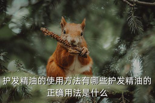 护发精油的使用方法有哪些护发精油的正确用法是什么