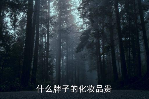 雅斯兰黛眼影棒怎么样,雅诗兰黛