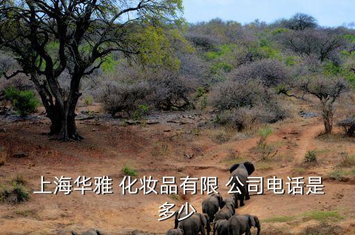 上海华雅 化妆品有限 公司电话是多少