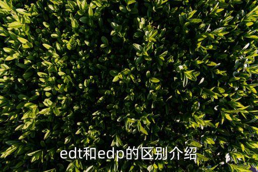 edt和edp的区别介绍