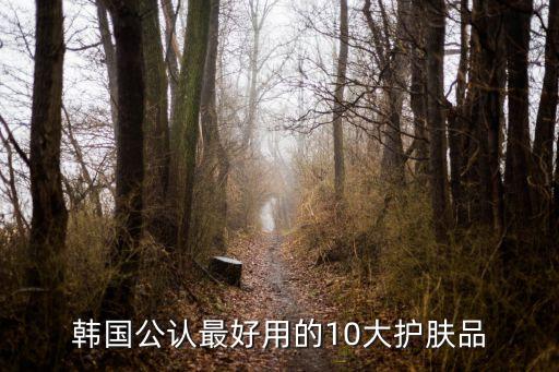韩国公认最好用的10大护肤品