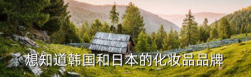 想知道韩国和日本的化妆品品牌