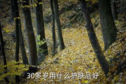 30多岁用什么护肤品好