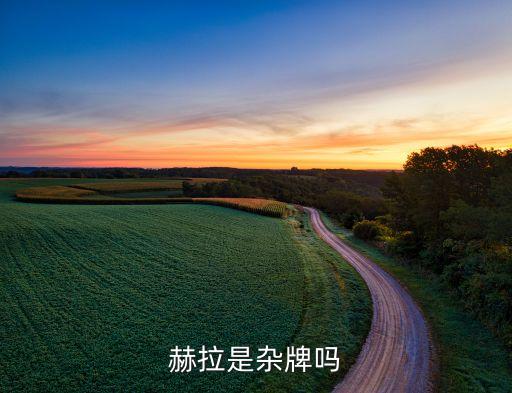 赫拉是杂牌吗