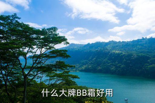 灵动雪润bb霜多少钱