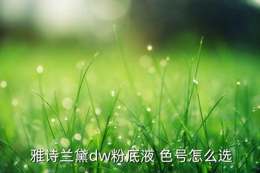  雅诗兰黛dw粉底液 色号怎么选