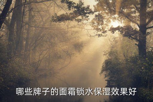 水密码面霜怎么样,水磁场面霜怎么样？