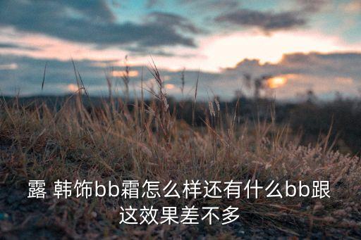 露韩饰在韩国怎么样,韩国时妍露化妆品怎么样