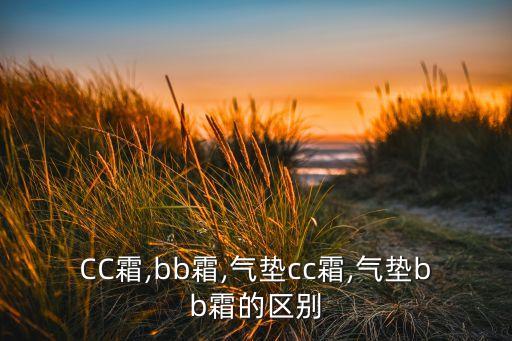 樱尚气垫cc怎么样,董鑫的气垫cc怎么样？