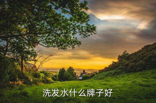 洗发水什么牌子好