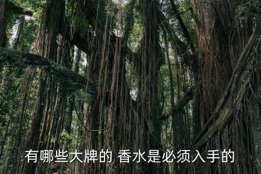 有哪些大牌的 香水是必须入手的