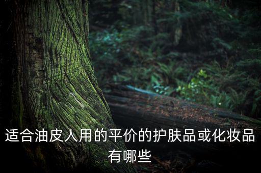 适合油皮人用的平价的护肤品或化妆品有哪些