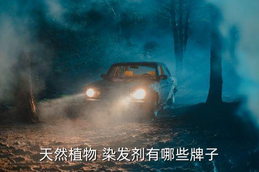 天然植物 染发剂有哪些牌子
