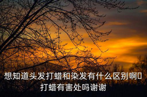 想知道头发打蜡和染发有什么区别啊〜打蜡有害处吗谢谢