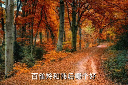 百雀羚和韩后哪个好
