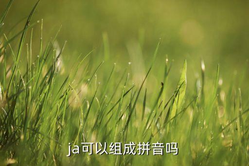 ja代表什么成分,梵克雅宝项链以ja开头不代表它是真的