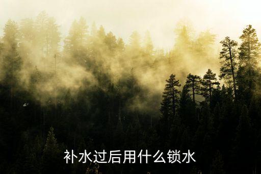 补水过后用什么锁水