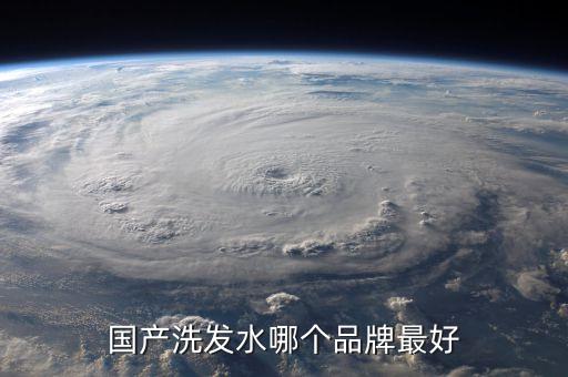 国产洗发水哪个品牌最好