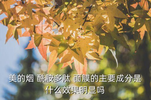 私信高纯烟酰胺面膜怎么样
