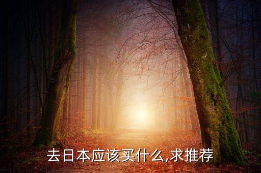 去日本应该买什么,求推荐