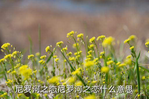 潘海利根橙花适合什么季节