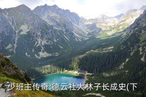 高夫代言人总共多少个