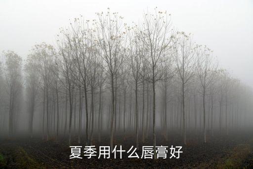 夏季用什么唇膏好