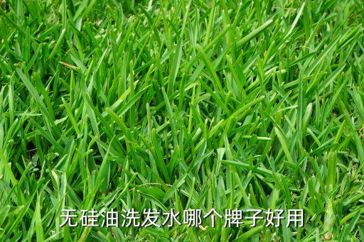 无硅油洗发水哪个牌子好用