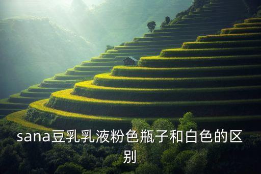 莎娜美白系列怎么样,怎么用sana美背冲洗淋浴露?