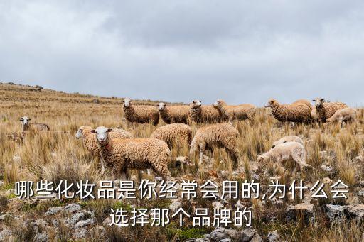 哪些化妆品是你经常会用的,为什么会选择那个品牌的