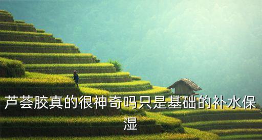 芦荟胶真的很神奇吗只是基础的补水保湿