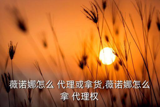 薇诺娜怎么 代理或拿货,薇诺娜怎么拿 代理权