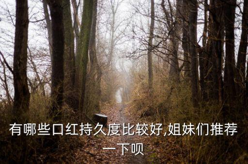 有哪些口红持久度比较好,姐妹们推荐一下呗