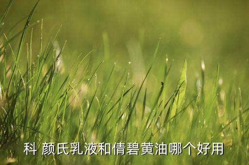 科 颜氏乳液和倩碧黄油哪个好用