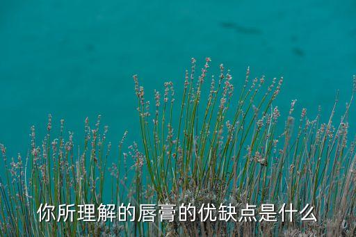 lip化妆品怎么样,LIP化妆品